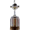 Copa Libertadores winner