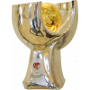 Turkish Super Cup Winner