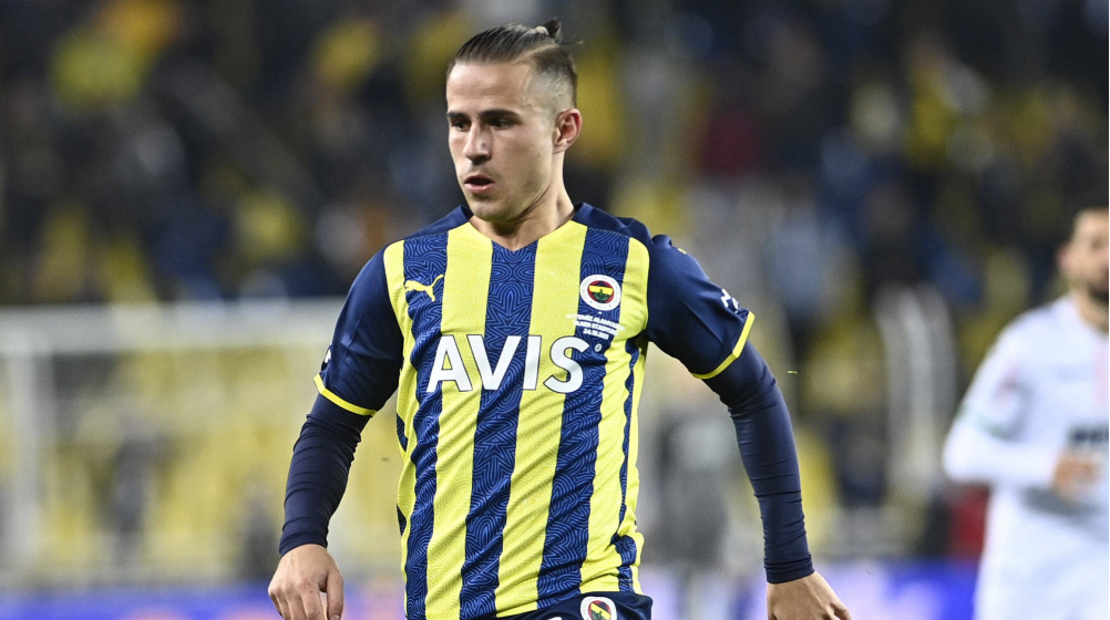 Fenerbahçe: Dimitris Pelkas kiralık olarak Hull City’e transfer olmuştur
