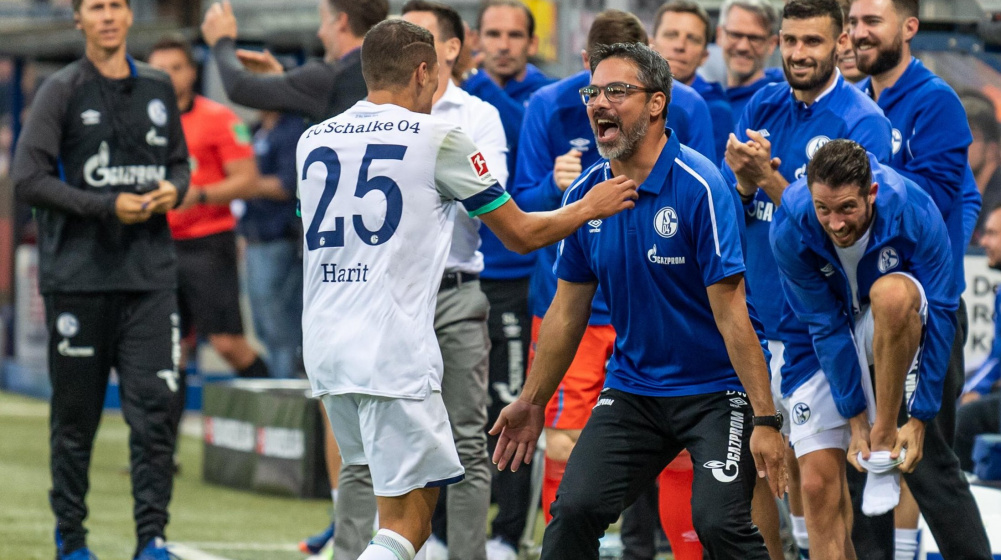 Harit blüht nach schwerem Jahr beim FC Schalke 04 auf: „Spüre großes Vertrauen“