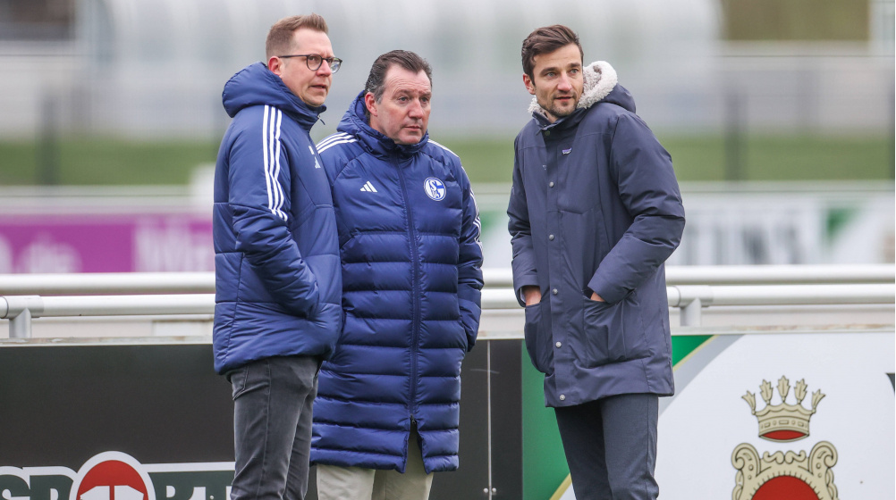 Schalke-Boss Tillmann: „Mehrere Profile“ für Hechelmann-Nachfolge