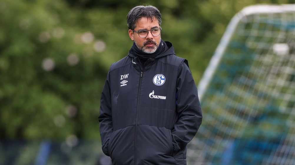 Schalke trennt sich von Wagner: „Entscheidung ist alles andere als leichtgefallen“