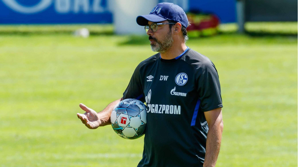 Schalke-Coach Wagner hinterfragt 50+1-Regel: „Wird großes Ungeheuer skizziert“