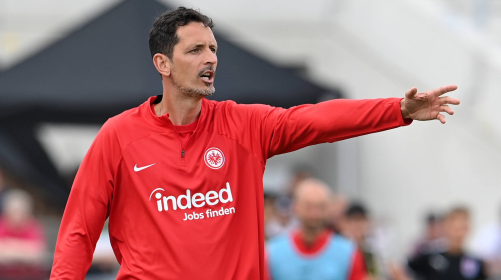 Eintracht Frankfurt: Dino Toppmöller fordert Geduld mit Neuzugängen