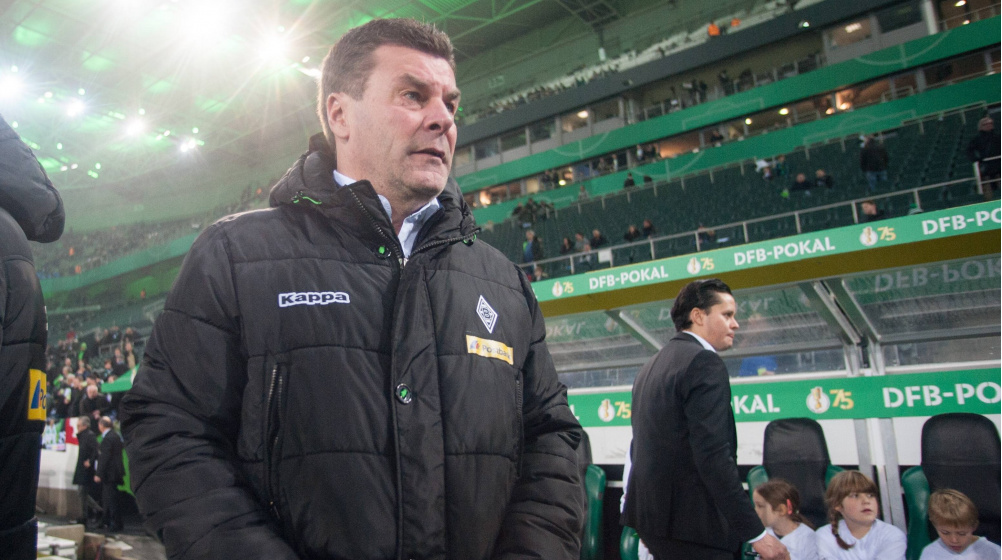 Trainer Hecking Top-Kandidat auf Schalke – Nicht ausreichend Rückhalt für Labbadia