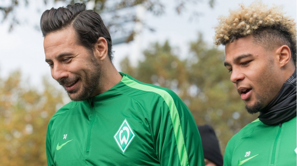 Pizarro rät Gnabry zu Verbleib in Bremen - Eigene Zukunft offen