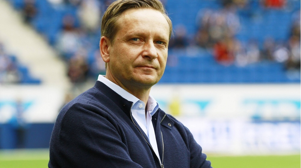 Bader und Möckel müssen gehen: Heldt neuer Sportdirektor von Hannover 96