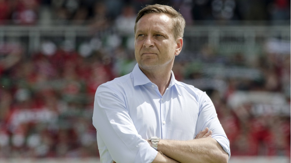 1. FC Köln stellt Geschäftsführer Horst Heldt frei