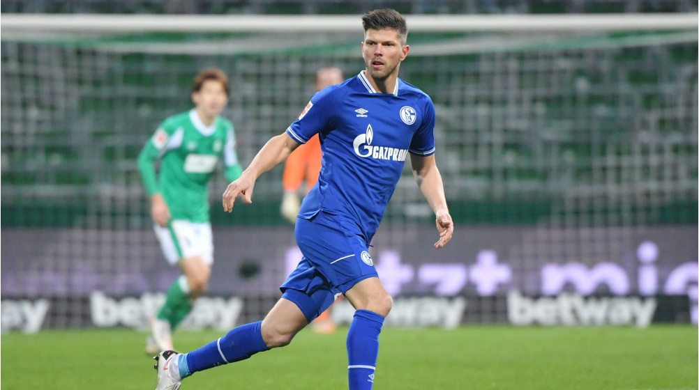 Schalke 04: Dimitrios Grammozis erwägt Verlängerung mit Klaas-Jan Huntelaar