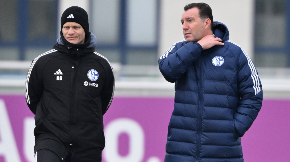 Schalke: Interner Gegenwind für Sportdirektor Marc Wilmots?