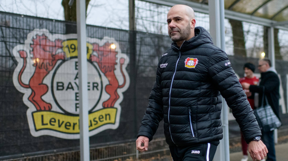Bayer Leverkusen verlängert mit Bosz – „Voraussetzungen für Titel schaffen“