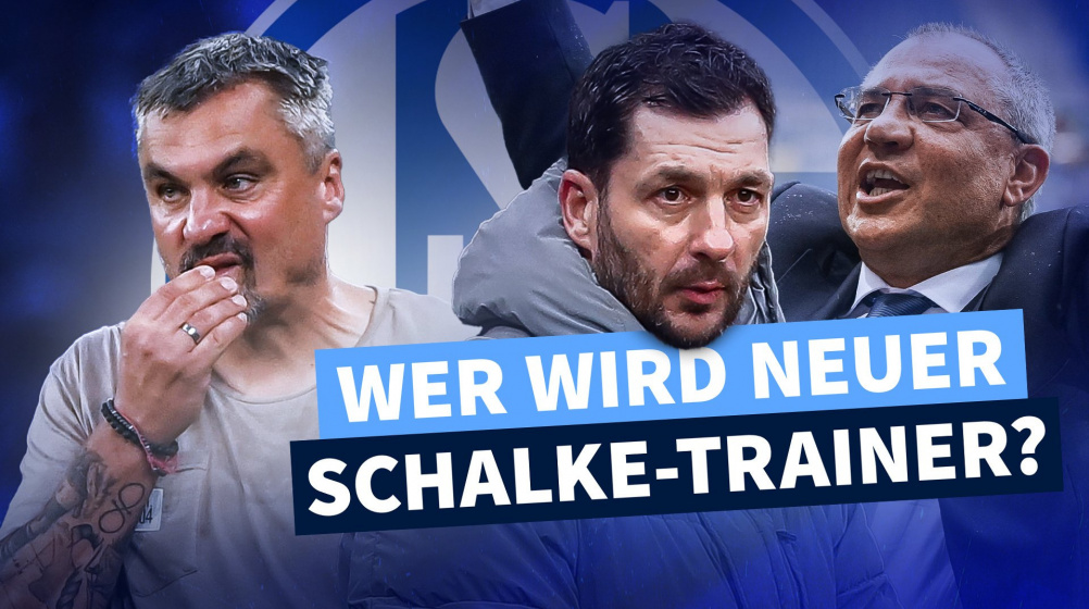 Nach Reis-Aus auf Schalke: Mögliche Nachfolge-Kandidaten im Check