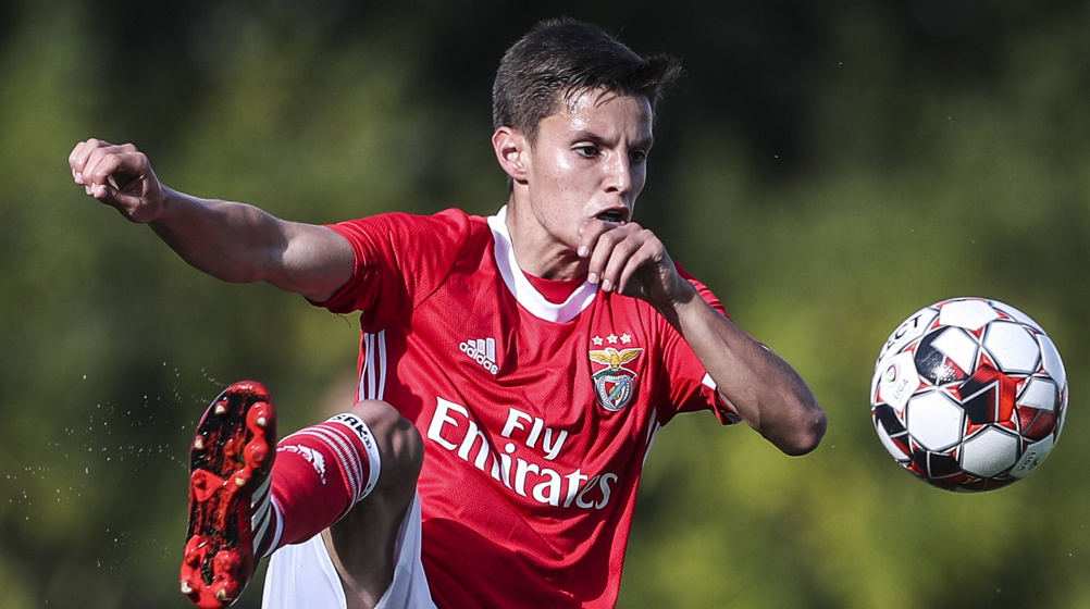 Quarto empréstimo consecutivo: Tiago Dantas cedido pelo Benfica ao AZ Alkmaar