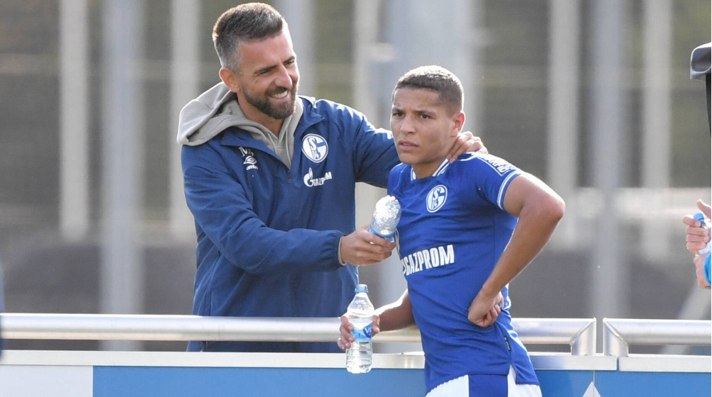 FC Schalke 04: Ibisevic will mit Spende Zeichen setzen – Kein Druck auf Kollegen