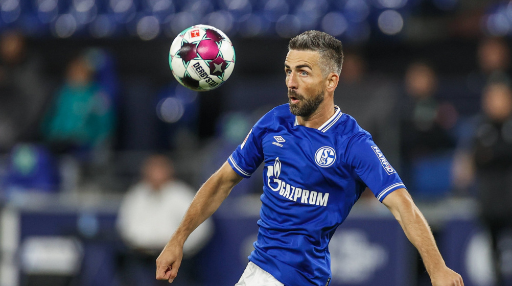 Ibisevic: Schalke-Coach Baum „hatte ein Problem mit mir“ – Bundesliga-Rückkehr wegen Elber?