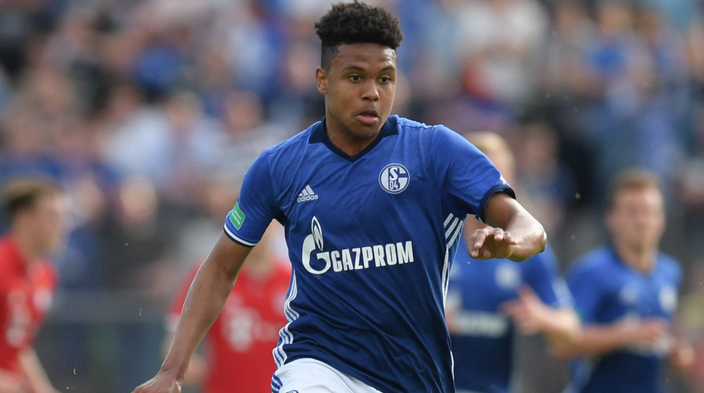 Following McKennie & Co.: Schalke and Frankfurt create US youth team