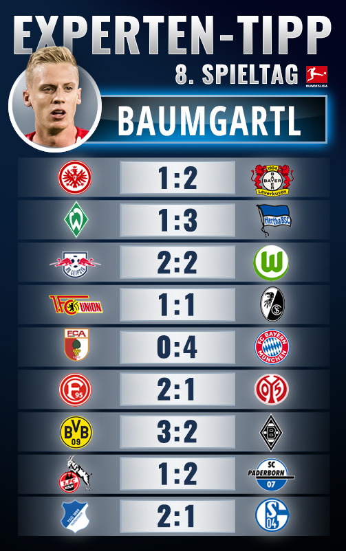 Bundesliga 8 spieltag tipps