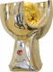 Campeão da Super Taça da Turquia