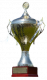 Vincitore Coppa Regionale di Sassonia-Anhalt