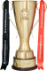 Südostasienmeister (AFF Championship)
