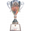 Hong Kong Lower Division Cup Winner