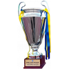 Bosnian-Herzegovinian cup winner