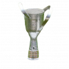 Georgischer Pokalsieger