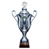 Wit-Russische supercup winnaar