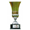 Hong Kong Sapling Cup Winner