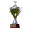 Vencedor da Taça Nacional Sachsen-Anhalt