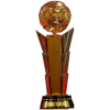 Qatari Stars Cup Winner (Ooredoo Cup)