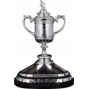 Scottish Cup Winner (FA Cup)