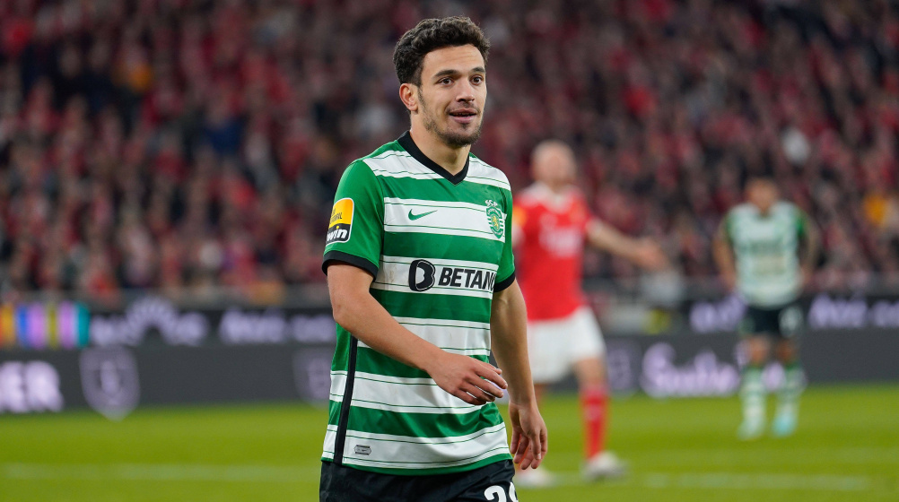 Pedro Gonçalves - Player profile 23/24 | Transfermarkt