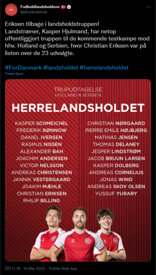 Danimarka'nın 23 kişilik kadrosu