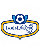 Copa División Profesional