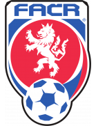 Moravskoslezska fotbalova liga