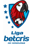 Liga Nacional Apertura Playoff