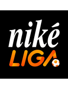 Nike Liga