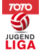 ÖFB Jugendliga U17 (- 2010)