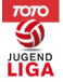 Юношеская лига до 19 (- 2010)