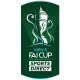 FAI Cup