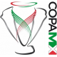 Copa MX Clausura (- 18/19)