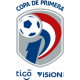 Primera División Clausura