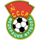 Vyschaya Liga (- 1991)