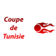 Tunesischer Pokal