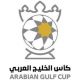 UAE League Cup
