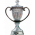 Russischer Pokal