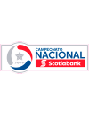 Primera División Transición (-2017)