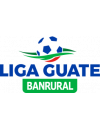 Liga Nacional Apertura Play-Off
