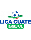 Liga Nacional Clausura Play-Off